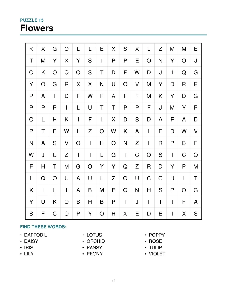 Sample interior page from Word Search for Kids